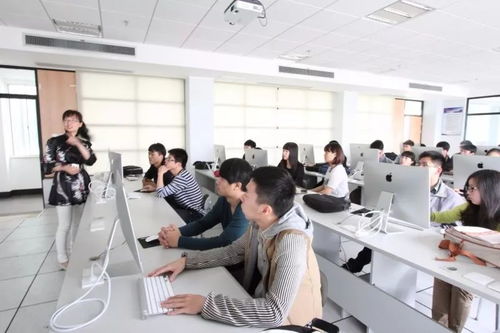 專業(yè)解讀 計算機類三大核心專業(yè)及其網(wǎng)絡技術服務應用